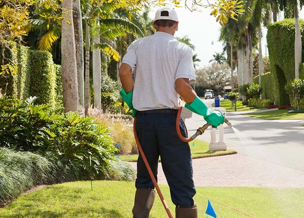 About Bruner MO Pest Control
